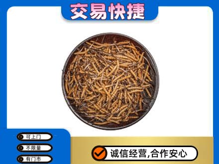 浪卡子县高价回收散虫草